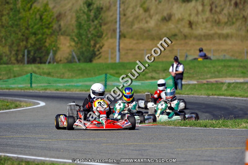 DSC_ (1734).jpg